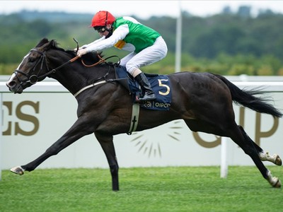 Pyledriver Bests Al Aasy in Coronation Cup Image 1